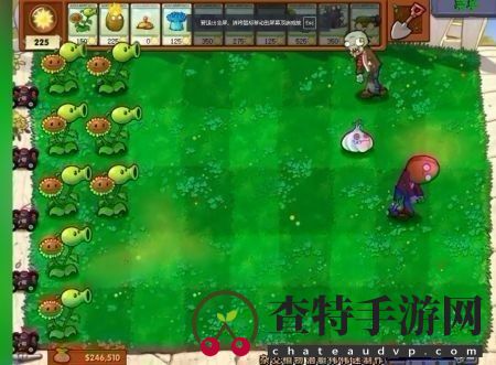 植物大战僵尸杂交版3.0版本