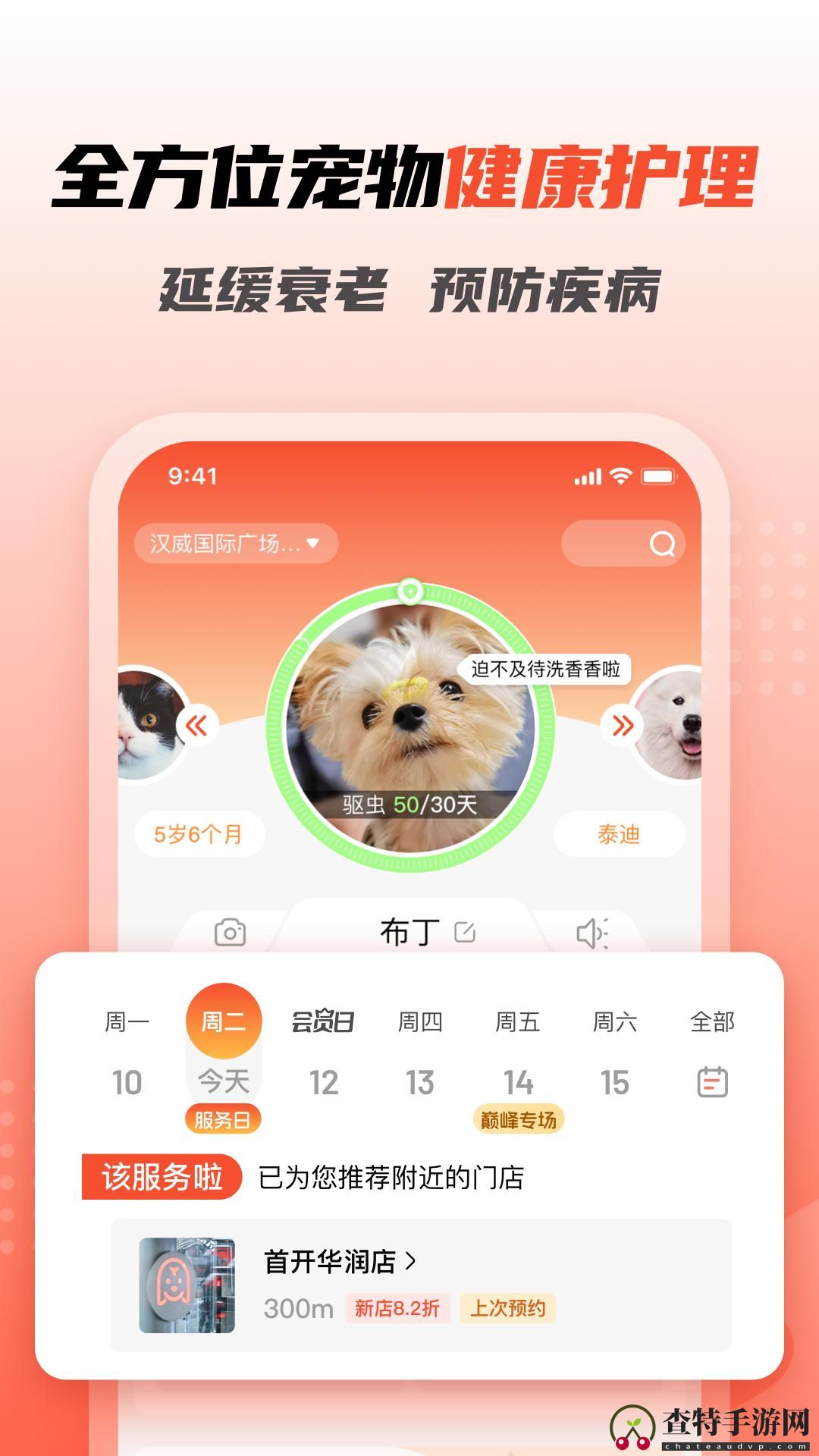 宠物家