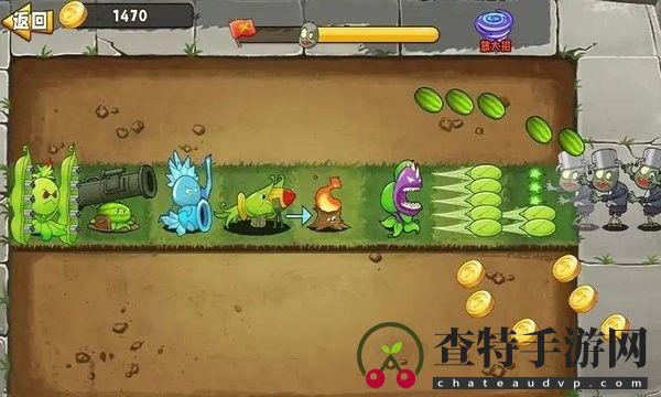 植物变异大招版